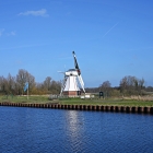 NZF_0560