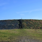 NZF_0425