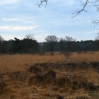 Z8A_2953