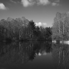 NZF_0592