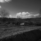 NZF_0600