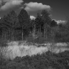 NZF_0614