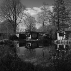 NZF_0631