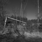 NZF_0689