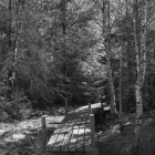 NZF_0705
