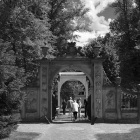 NZF_0715