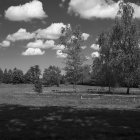 NZF_0719