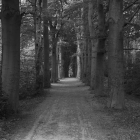 NZF_0727