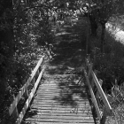 NZF_0737