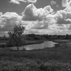NZF_0741