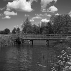 NZF_0742