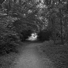 NZF_0828