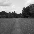 NZF_0835