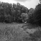 NZF_0839