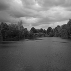 NZF_0840