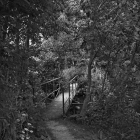 NZF_0841