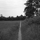 NZF_0849