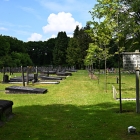 NZF_0881