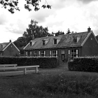 NZF_0988