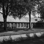 NZF_0892