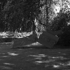NZF_0895