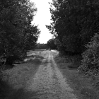 NZF_0900
