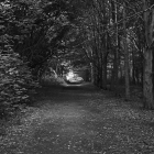 NZF_0903