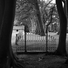 NZF_0920