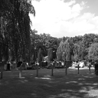 NZF_0922