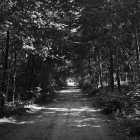 NZF_0927
