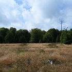 Z8A_4100