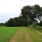 NZF_1000