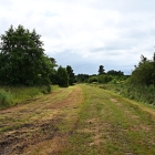 NZF_1003
