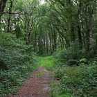 NZF_1020