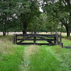 NZF_1021