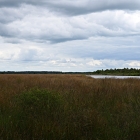 Z8A_4055