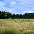 Z8A_4074
