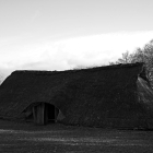 NZF_1162