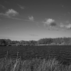 NZF_1179