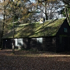 NZF_1124