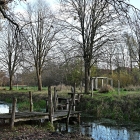 NZF_1215
