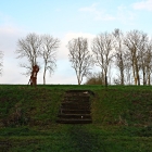 NZF_1219