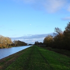 NZF_1222