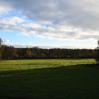 NZF_1223