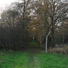 NZF_1224