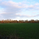 NZF_1227