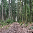 NZF_1229