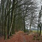 NZF_1255