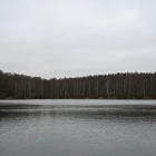 NZF_1265