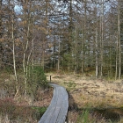 NZF_1408